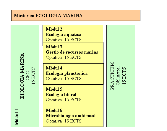 Esquema